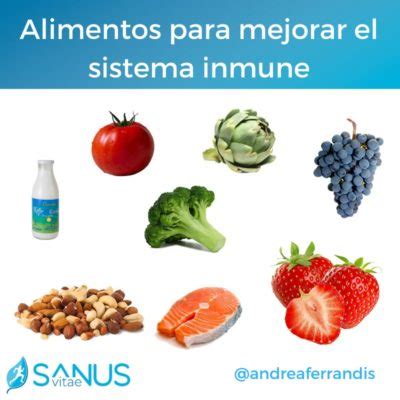 Alimentos Para Fortalecer El Sistema Inmune Sanusvitae