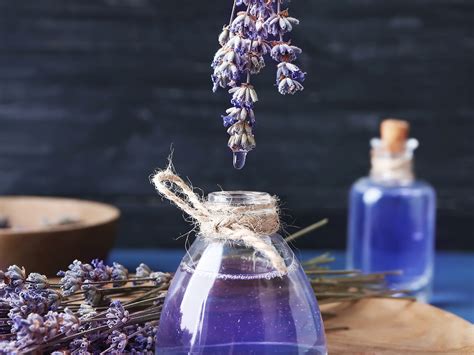 Descobrir Imagen Perfume De Lavanda Para Dormir Br Thptnganamst