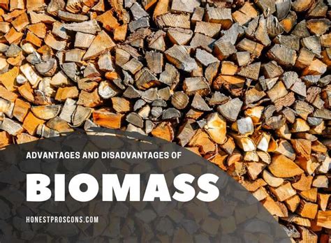 7 Primary Advantages and Disadvantages of Biomass