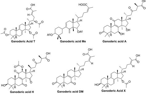 Ganoderma Lucidum An Overview Sciencedirect Topics 60 Off