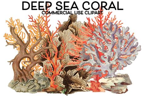 Coral Aquarium Clipart