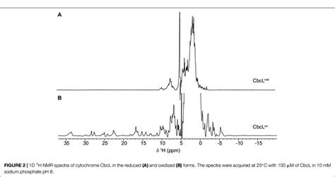 Purification Of Cytochrome Cbcl And Its Uv Visible Spectral Features