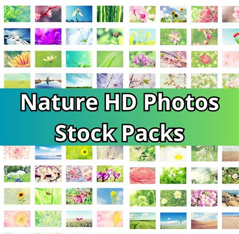 hd nature  landscapes stock    jpeg files etsy