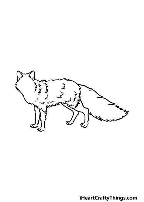 Fox Drawing Outline