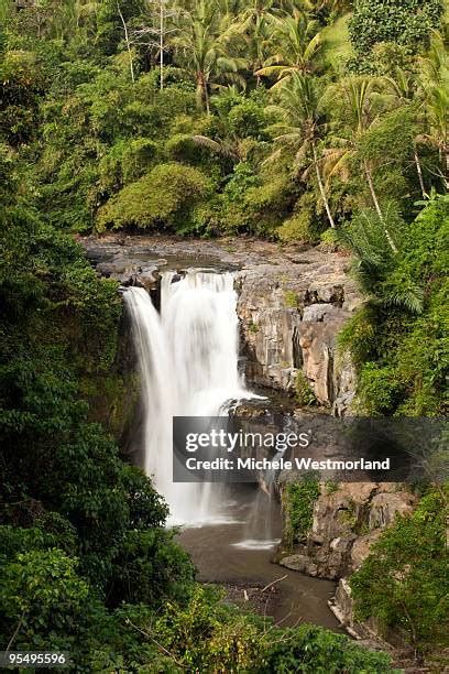 79 Waterfall Figi Stock Photos, High-Res Pictures, and Images - Getty Images