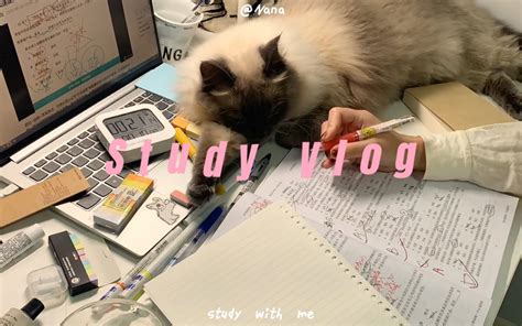 Study Vlog5 43早起学习宅家学习日常猫咪伴学考编日记自律计划本分享 Nana日记 Nana日记 哔哩哔哩视频