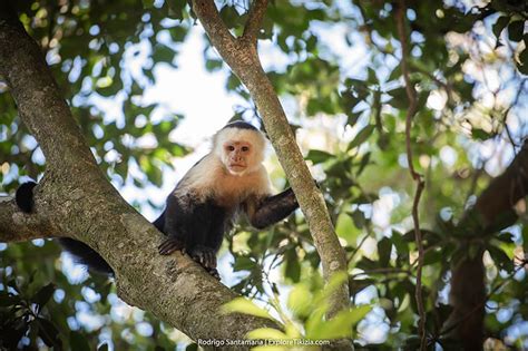 Rincon De La Vieja National Park Exploring Like A Keen Hiker Explore