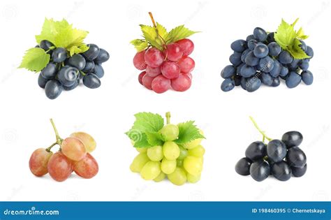 Conjunto De Uvas Frescas Sobre Fondo Blanco Imagen De Archivo Imagen