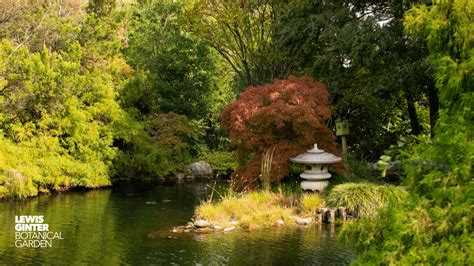 Garden or GardenFest Zoom Background - Lewis Ginter Botanical Garden