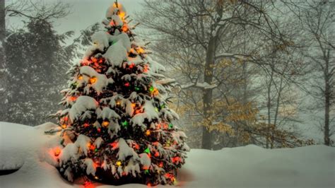 Christmas Wallpapers - Animated Christmas Tree Background - 1920x1080 ...