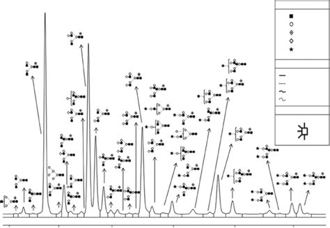 Representation Of Released Undigested Human Igg N Glycosylation Profile