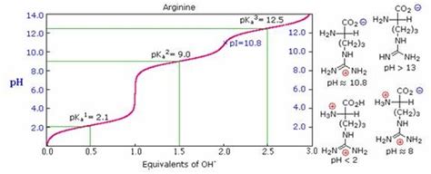 Titration Curves Flashcards Quizlet