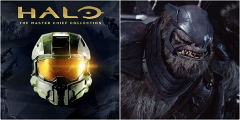 Halo: 10 Things You Never Knew About Brutes