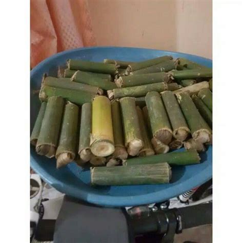 Jual Cangcilung Cilung Ulat Bambu Umpan Burung Umpan Ikan Shopee