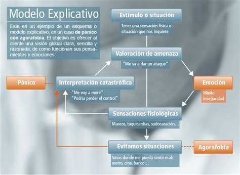 Terapia cognitivo conductual Por qué esta y no otra Área Humana