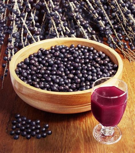 Explorando o açaí 10 fascinantes curiosidades sobre este super alimento ...