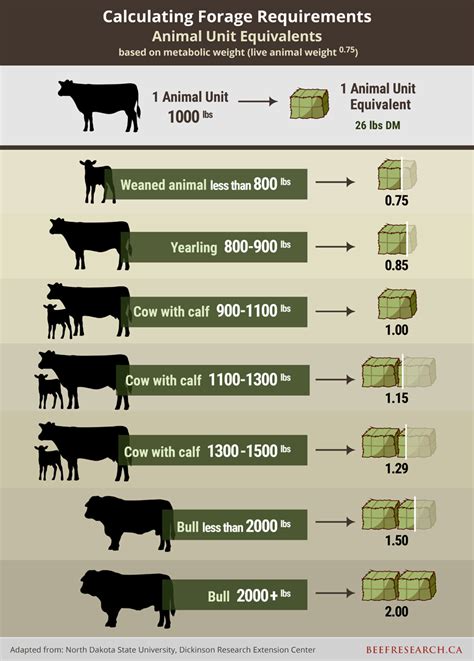 Forage Grasslands Record Keeping Level Beefresearch Ca