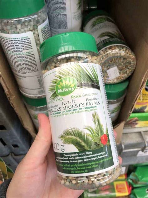 Majesty Palm Fertilizer The Perfect Blend For A Thriving Plant