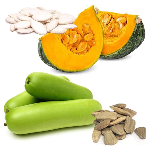 Buy Pumpkin Kaddu And Bottle Guard Lauki Seeds At Best Price In India