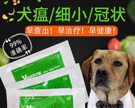 犬瘟病治疗药物详解（以狗狗为主） 宠物训练 狗猫街