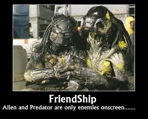 Predator And Prey Quotes. QuotesGram