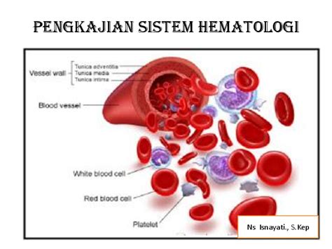 Perubahan Hematologi Gambaran