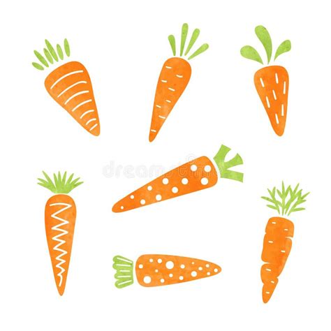 Cartoon Carrots Set Vector Watercolor Vegetables Illustration Stock