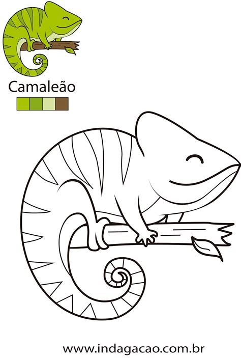 Camaleao Para Colorir Bom Dia Todas As Cores - Camaleão Para Colorir Bom Dia Todas As Cores - RETOEDU