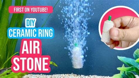 Amazing DIY Air Stone for Fish Tank 🔥 How to Make Aquarium Air Stone at Home – HousePetsCare.com