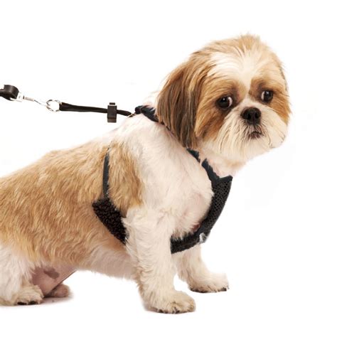 Sporn Nylon Mesh Non-Pulling Dog Harness, Black, S (8" to 14" Chest