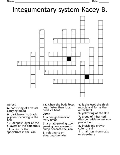 Integumentary System Kacey B Crossword WordMint