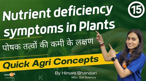 Quick Agri Concepts Nutrient Deficiency Symptoms In Plants All