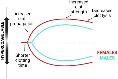 Sex Dimorphisms In Coagulation Implications In Trauma Induced Coagulopathy And Trauma