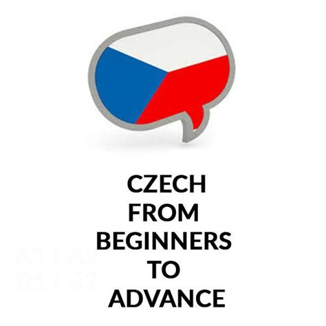 Czech Language - Lingua Plus