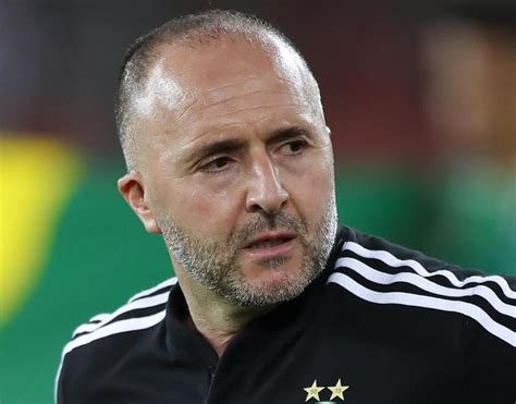 Belmadi A Une Alternative Cr Dible Pour A T Nouri Mais