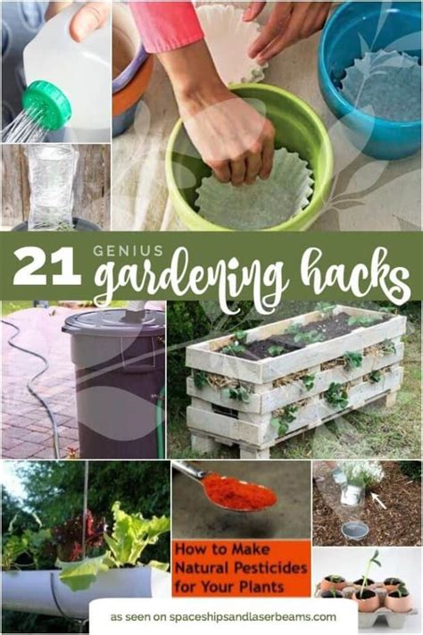 21 Genius Gardening Hacks From Spaceships And Laser Beams Gardening Tips Container Gardening