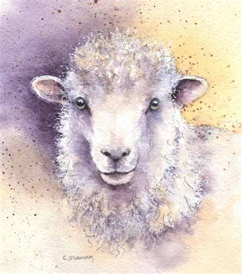 sheep's face 8