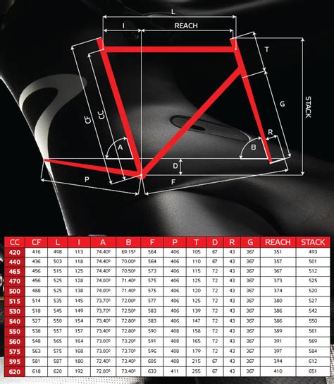 Pinarello Dogma F10 Size Chart