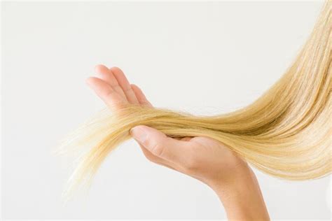 El Ciclo De Vida Del Cabello Ducray