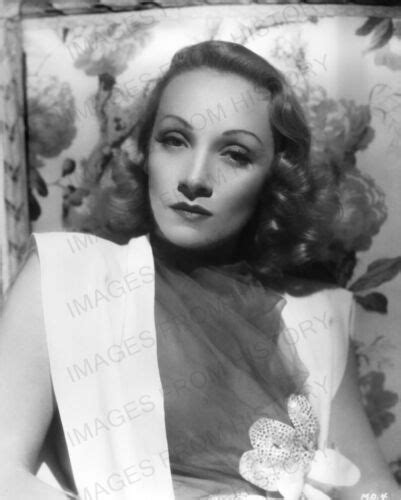 8x10 Print Marlene Dietrich Beautiful Portrait 116 Ebay