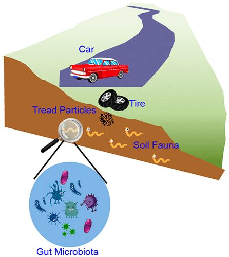 Environmental Science Technology Vol 54 No 12 ACS Publications