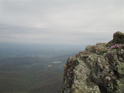 Appalachian Trail Part David Warners Flickr