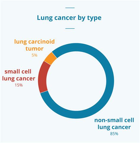 Lung Cancer Explorer Lung Cancer Database Lung Cancer Analysis Images