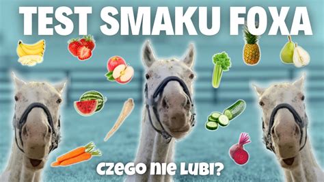 Test Smaku Czy Jest Co Czego Fox Nie Lubi Youtube