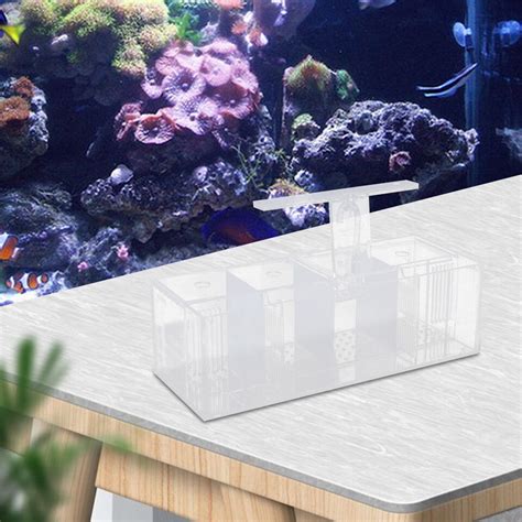 Aquaponic Fish Tank Grid Desktop Fish Tank Rectangle Acrylic Betta