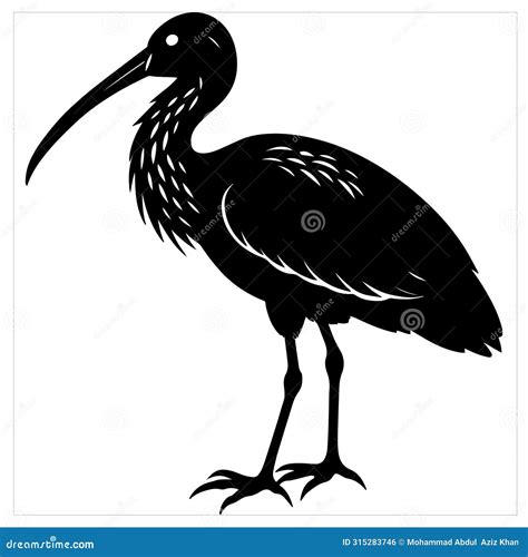 A Sleek Silhouette Depicts an Ibis Bird, Its Graceful Form Captured in