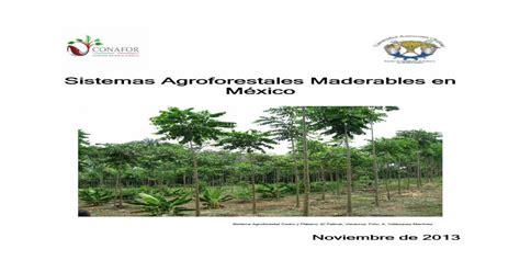 Sistemas Agroforestales Maderables En México Gobmx · Vi Índice De