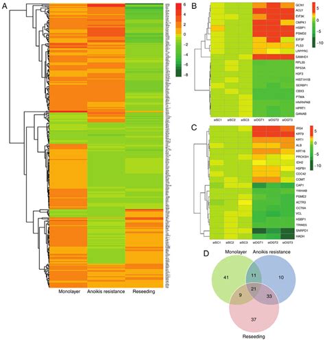 Heat Map And Venn Diagram Of Differential Protein Expression