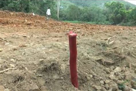 Bp Batam Terus Menyiapkan Lahan Untuk Relokasi Di Pulau Rempang