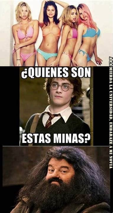 Putas Harry Putas Meme Subido Por BLaDi 2000 Memedroid